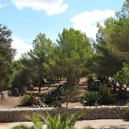 Hotel Son Xotano 4*